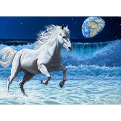 Grafika (02583) - Schim Schimmel: "Wave Runner" - 300 Teile Puzzle