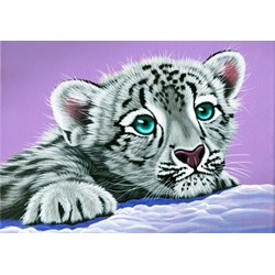 Grafika (02587) - Schim Schimmel: "Sambuca's Friend" - 1000 Teile Puzzle