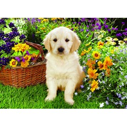 Trefl (371604) - Greg Cuddiford: "Labrador-Welpe im Garten" - 500 Teile Puzzle