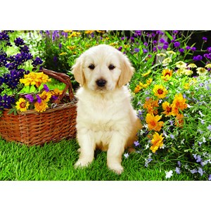 Trefl (371604) - Greg Cuddiford: "Labrador-Welpe im Garten" - 500 Teile Puzzle