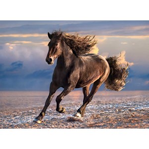 Clementoni (39420) - "Pferd in Freiheit" - 1000 Teile Puzzle