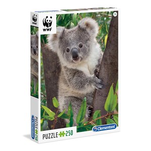 Clementoni (29054) - "Baby Koala" - 250 Teile Puzzle