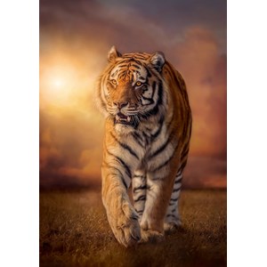 Clementoni (31806) - "Heranschleichender Tiger" - 1500 Teile Puzzle