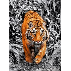Clementoni (39429) - "Tiger" - 1000 Teile Puzzle