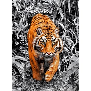 Clementoni (39429) - "Tiger" - 1000 Teile Puzzle