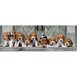 Clementoni (39435) - "Beagle" - 1000 Teile Puzzle