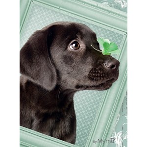 Ravensburger (14194) - "Welpenglück" - 500 Teile Puzzle