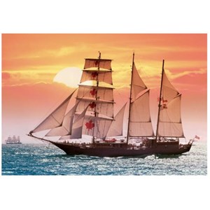 Castorland (C-100392) - "Sailing ship in the sunset" - 1000 Teile Puzzle