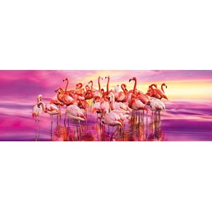 Clementoni (39427) - "Flamingo Tanz" - 1000 Teile Puzzle