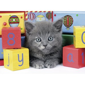 Ravensburger (13908) - "Grey Kitten" - 200 Teile Puzzle