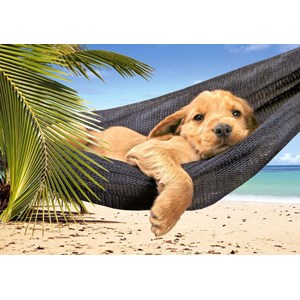 Castorland (B-51144) - "Leisure Time" - 500 Teile Puzzle