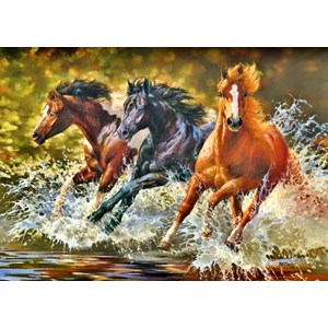 Castorland (B-51823) - Bonnie Marris: "Splash" - 500 Teile Puzzle