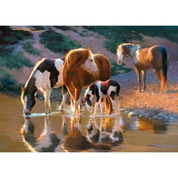 Castorland (B-52097) - "Night Cap" - 500 Teile Puzzle