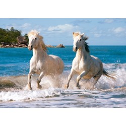 Castorland (C-102433) - "White Camargue Horses" - 1000 Teile Puzzle