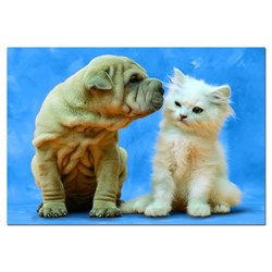 Educa (14806) - "Geheimnisse" - 500 Teile Puzzle