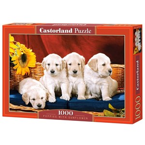 Castorland (C-101771) - "Puppies with Sunflower" - 1000 Teile Puzzle