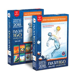 Origami (03839) - "Kaliningrad, official poster, FIFA World Cup 2018" - 160 Teile Puzzle
