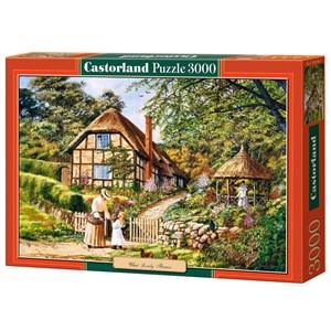 Castorland (C-300358) - "What Lovely Flowers" - 3000 Teile Puzzle