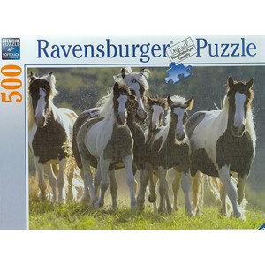 Ravensburger (14181) - "Group of Wild Horses" - 500 Teile Puzzle