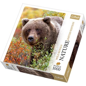 Trefl (10518) - "Grizzly, Alaska, USA" - 1000 Teile Puzzle