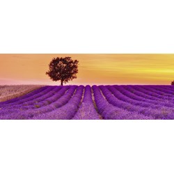 Ravensburger (15068) - "Lavender Fields" - 1000 Teile Puzzle