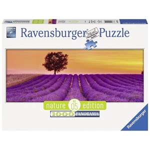 Ravensburger (15068) - "Lavender Fields" - 1000 Teile Puzzle