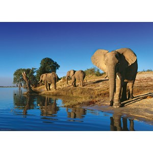 Heye (29595) - Alexander von Humboldt: "Thirsty Elephants" - 1000 Teile Puzzle