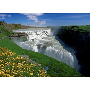 Trefl (10314) - "Golden Falls, Iceland" - 1000 Teile Puzzle