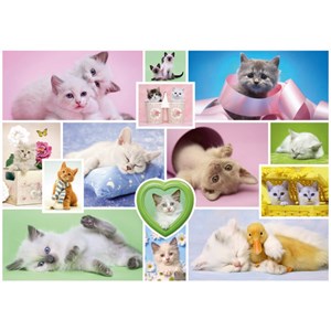 Schmidt Spiele (58230) - "Schmusekatzen" - 1000 Teile Puzzle