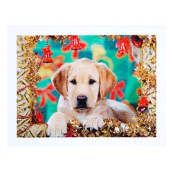 Step Puzzle (98007) - "Puppy" - 300 Teile Puzzle