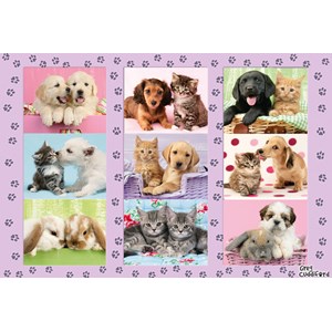 Schmidt Spiele (56268) - "Meine Tierfreunde" - 100 Teile Puzzle