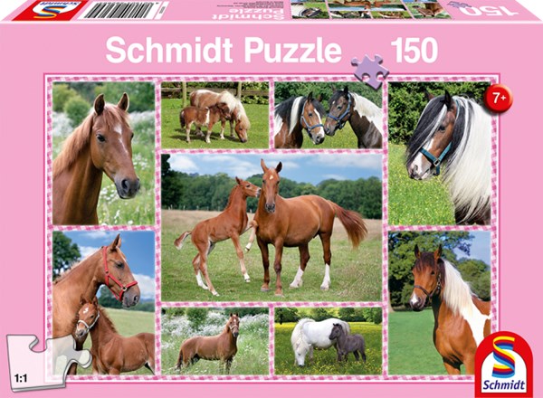 Schmidt Spiele (56269) - "Pferdeträume" - 150 Teile Puzzle