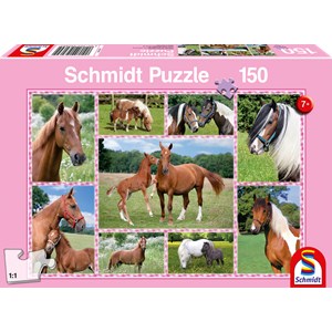 Schmidt Spiele (56269) - "Pferdeträume" - 150 Teile Puzzle