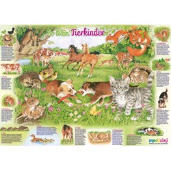 Schmidt Spiele (56290) - "So leben Tierkinder" - 150 Teile Puzzle