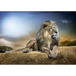 Educa (16292) - John Wilhelm: "His Majesty" - 1000 Teile Puzzle