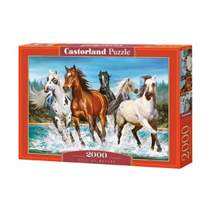 Castorland (C-200702) - "Ruf der Natur" - 2000 Teile Puzzle