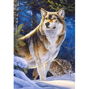 Castorland (C-104062) - "Würdevoller Wolf" - 1000 Teile Puzzle