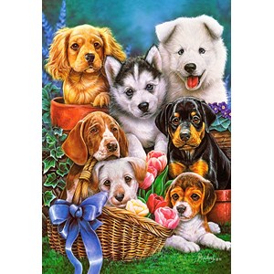 Castorland (C-104048) - "Süße Hundewelpen im Garten" - 1000 Teile Puzzle