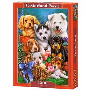 Castorland (C-104048) - "Süße Hundewelpen im Garten" - 1000 Teile Puzzle