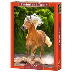 Castorland (B-52981) - "Aufgeschrecktes Pferd" - 500 Teile Puzzle