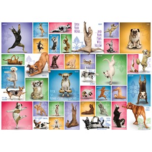 Eurographics (6000-0954) - "Yoga Hunde" - 1000 Teile Puzzle