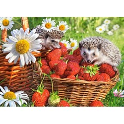 Castorland (B-222025) - "Strawberry Dessert" - 200 Teile Puzzle