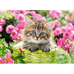 Castorland (B-111039) - "Kitten in Flower Garden" - 100 Teile Puzzle