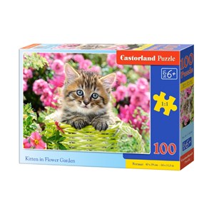 Castorland (B-111039) - "Kitten in Flower Garden" - 100 Teile Puzzle