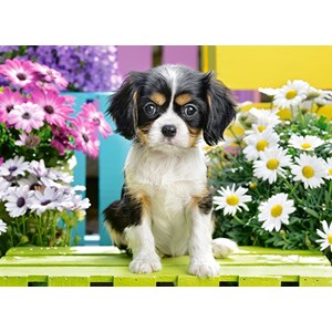 Castorland (B-070053) - "Spaniel Puppy in Flowers" - 70 Teile Puzzle