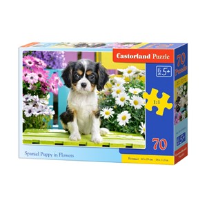 Castorland (B-070053) - "Spaniel Puppy in Flowers" - 70 Teile Puzzle