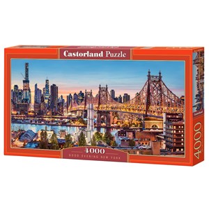 Castorland (C-400256) - "Guten Abend New York" - 4000 Teile Puzzle