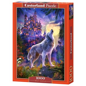 Castorland (C-104178) - "Das mystische Schloss" - 1000 Teile Puzzle