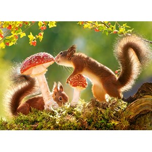 Castorland (B-27521) - "Eichhörnchen im Wald" - 260 Teile Puzzle