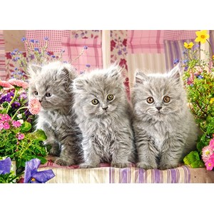 Castorland (B-27491) - "Three Grey Kittens" - 260 Teile Puzzle